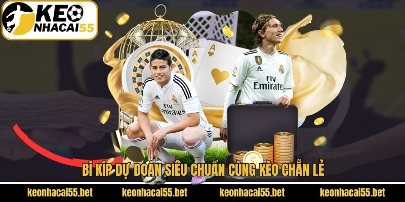 Kèo Chẵn Lẻ - Chia Sẻ Bí Kíp Soi Kèo Tối Ưu Chiến Thắng 4 Kinh nghiệm dự đoán siêu chuẩn khi cược chẵn lẻ