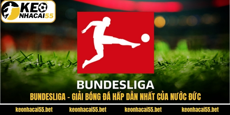Bundesliga - Giải Bóng Đá Hấp Dẫn Nhất Của Nước Đức 1 Bundesliga - Giải Bóng Đá Hấp Dẫn Nhất Của Nước Đức