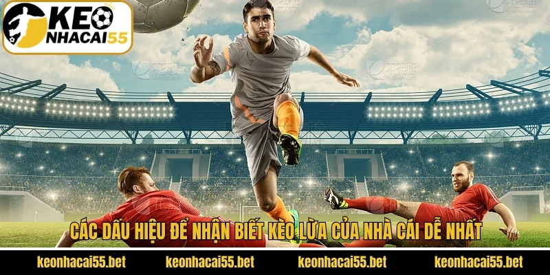 Hướng Dẫn Cách Nhận Biết Kèo Lừa Của Nhà Cái Tránh Mất Tiền 3 Dấu hiệu để nhận biết bẫy khi đặt cược bóng đá