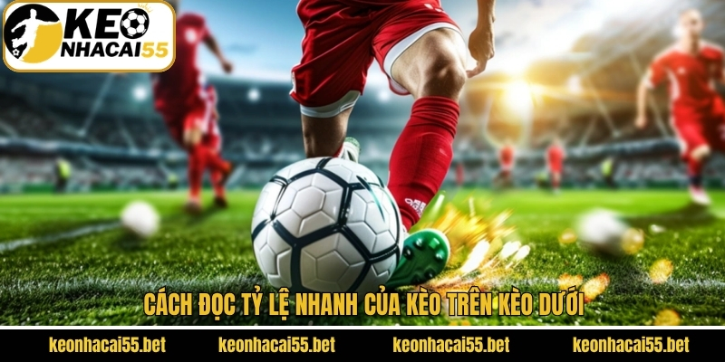 Kèo Trên Kèo Dưới - Top 3 Chiến Lược Cược Thông Minh 3 Cách đọc tỷ lệ nhanh của kèo trên kèo dưới