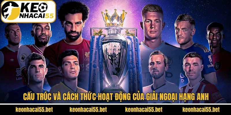 Ngoại Hạng Anh - Giải Đấu Bóng Đá Nổi Trội Nhất Ở Châu Âu 3 Điển hình cơ cấu và cách thức hoạt động của Premier League
