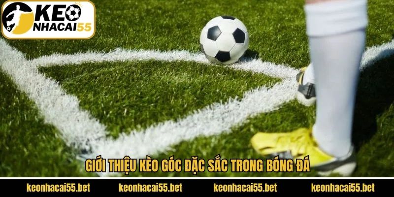 Kèo Góc - Chia Sẻ Bí Kíp Dự Đoán Chắc Thắng Từ Keonhacai 2 Giới thiệu về cược góc ở bóng đá