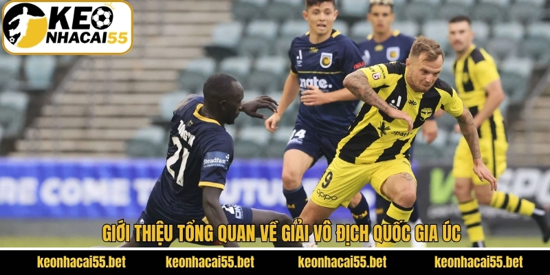 Điểm qua về giải vô địch quốc gia Australia