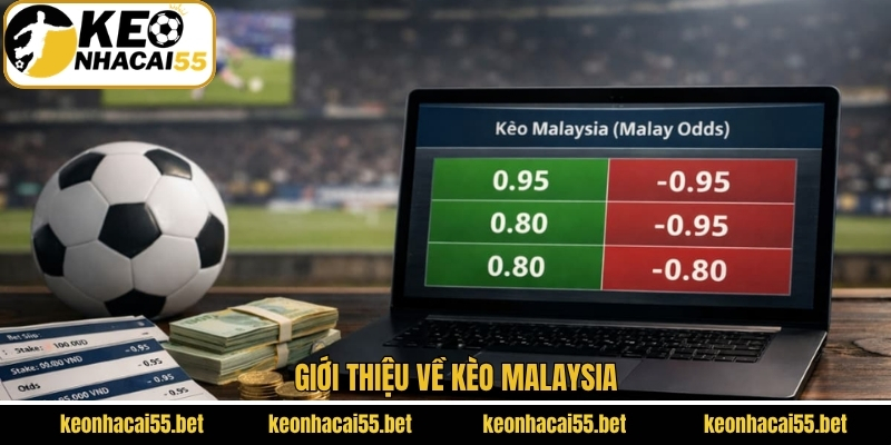 Khám phá chi tiết về kèo Malaysia 