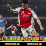 Kèo Châu Á - Hướng Dẫn Đọc Kèo Chuẩn Từ Keonhacai 5 Kèo Châu Á - Hướng Dẫn Đọc Kèo Chuẩn Từ Keonhacai