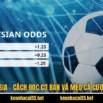 Kèo Malaysia - Cách Đọc Cơ Bản Và Mẹo Cá Cược Từ Cao Thủ