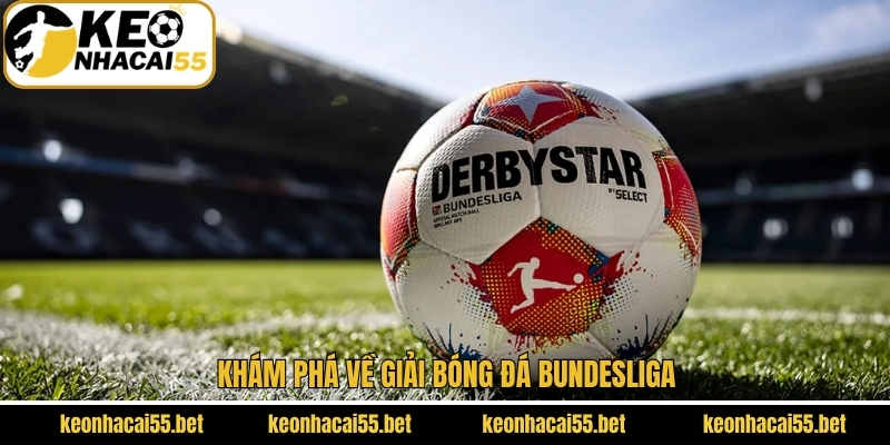 Bundesliga - Giải Bóng Đá Hấp Dẫn Nhất Của Nước Đức 2 Giới thiệu chi tiết về giải vô địch quốc gia Đức