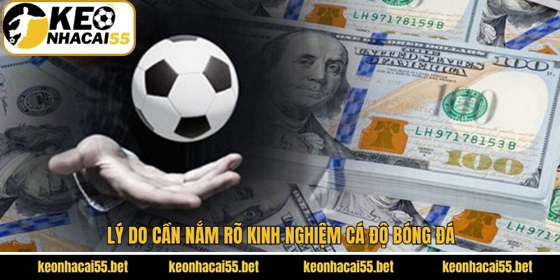 Kinh Nghiệm Cá Độ Bóng Đá Nên Nắm Từ Keonhacai 2 Ý nghĩa của kinh nghiệm cá cược bóng đá
