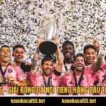 Mỹ MLS - Giải Bóng Đá Nổi Tiếng Hàng Đầu Tại Hoa Kỳ