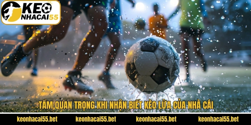 Hướng Dẫn Cách Nhận Biết Kèo Lừa Của Nhà Cái Tránh Mất Tiền 2 Ý nghĩa khi biết cách nhận diện bẫy nhà cái