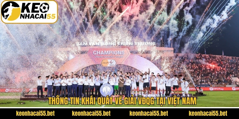 Khái quát chung về giải VĐQG V-League